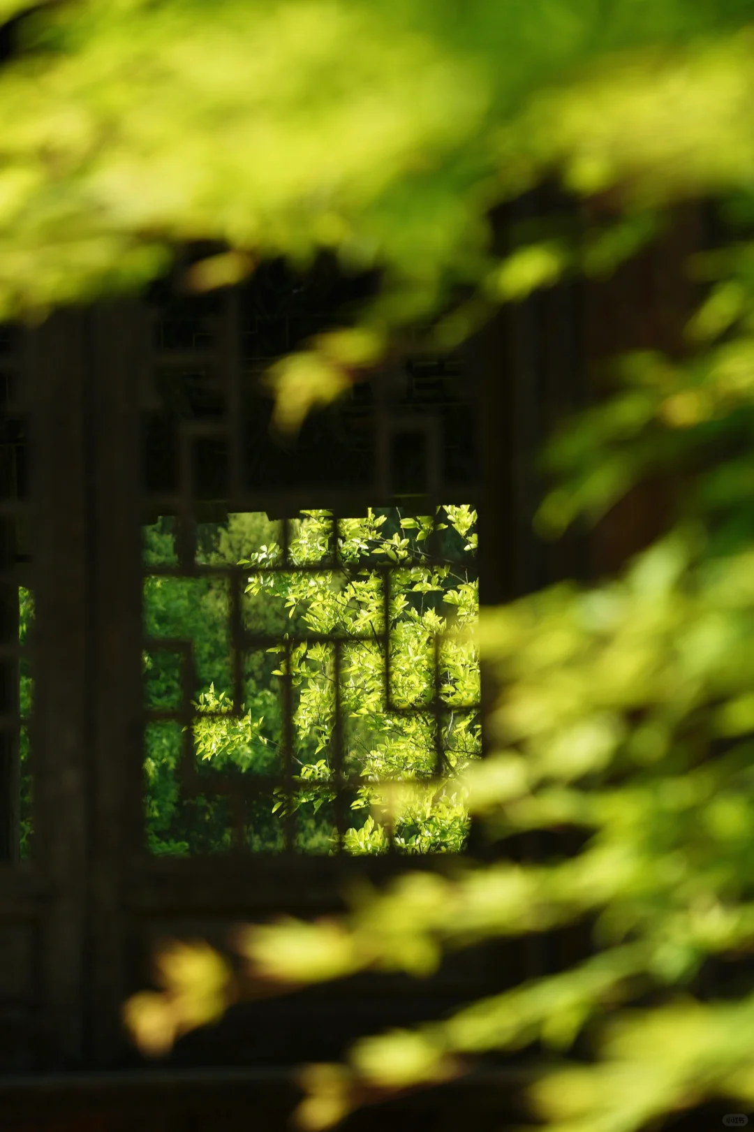 高铁直达！！贵州被严重低估的人间避世仙境😭