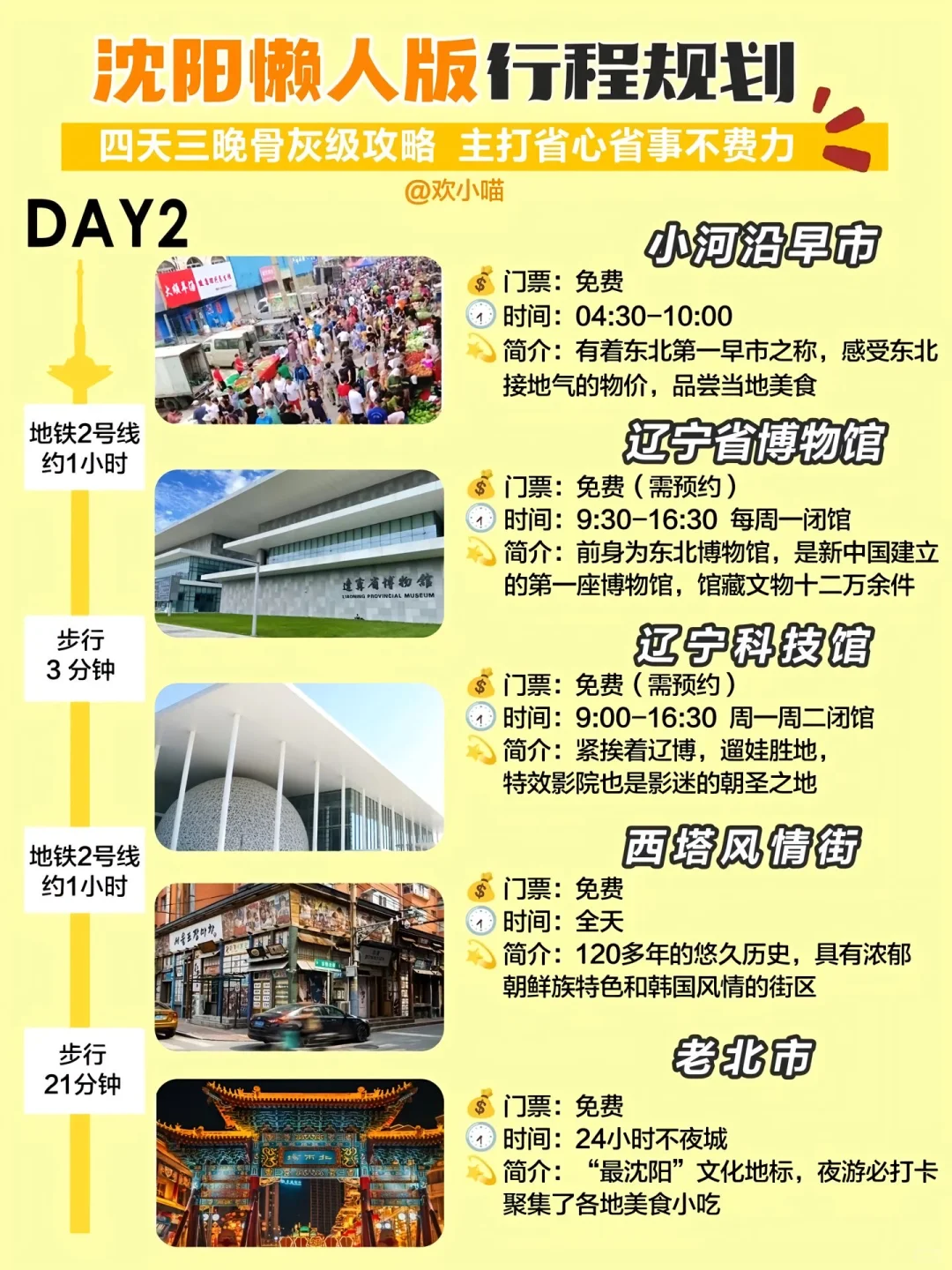 沈阳已回，我的建议是……