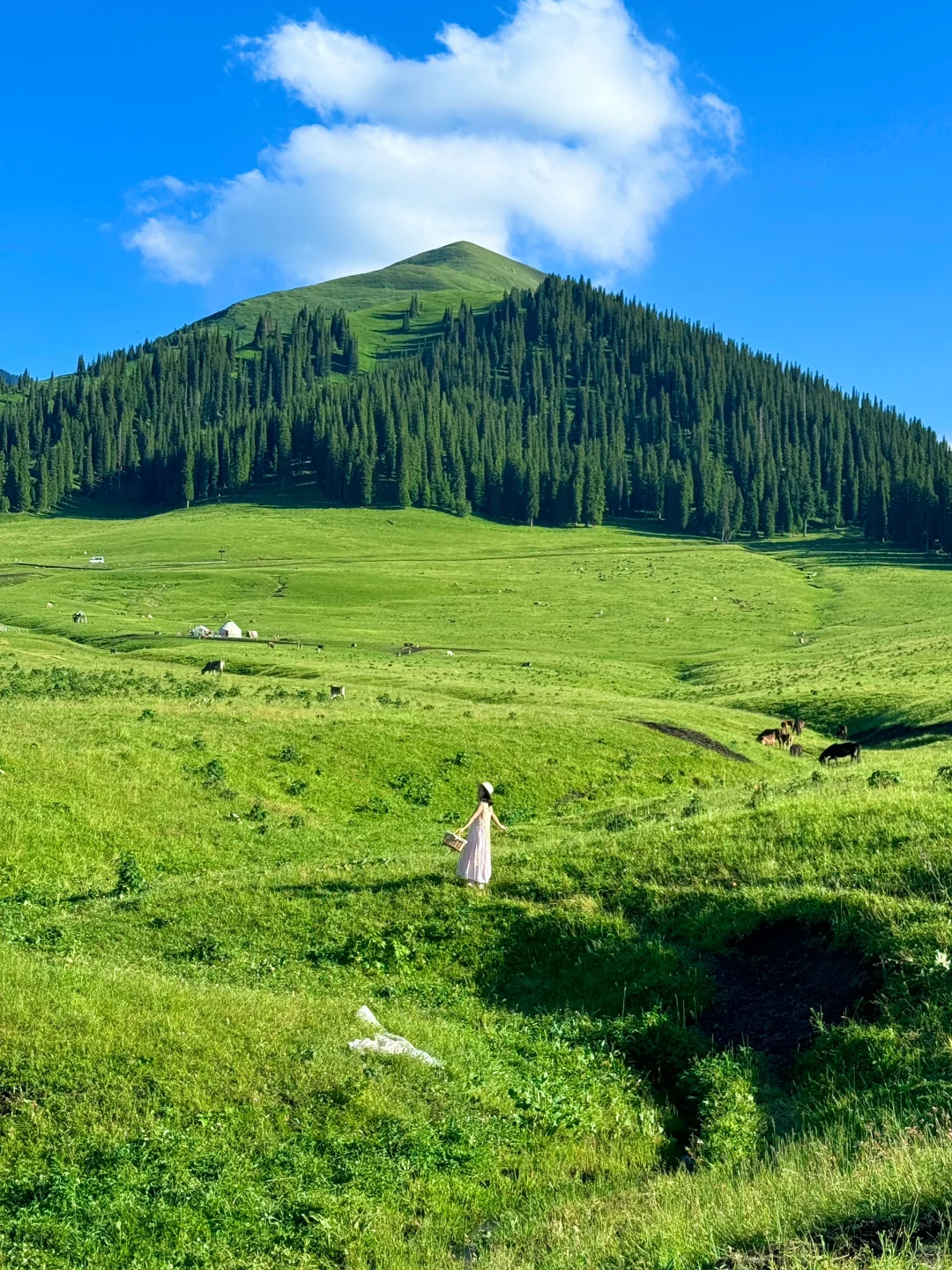 生命就应该浪费在这样的地方～🌳