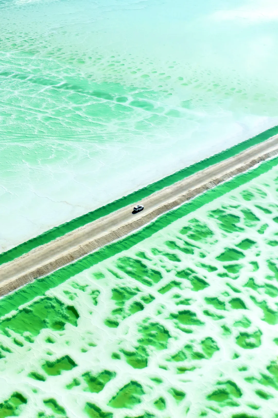 为了这组照片…西北自驾了4000公里‼️值得么