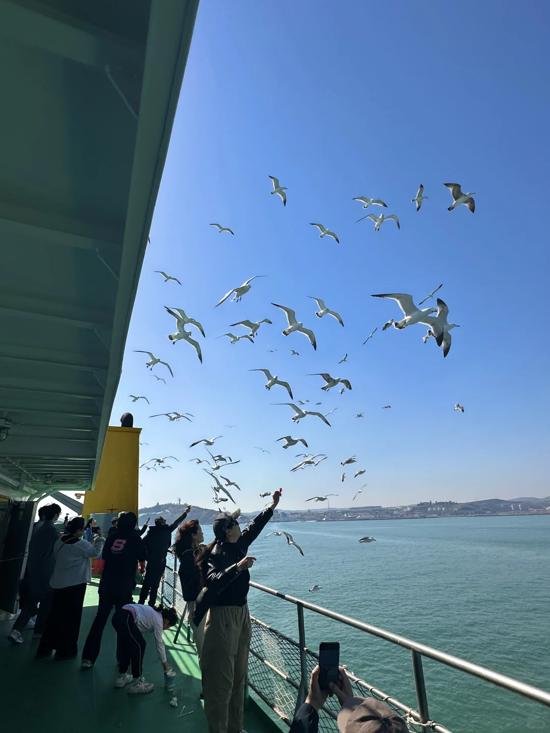 长岛两天一夜旅游攻略！！收藏这一篇就够了！！