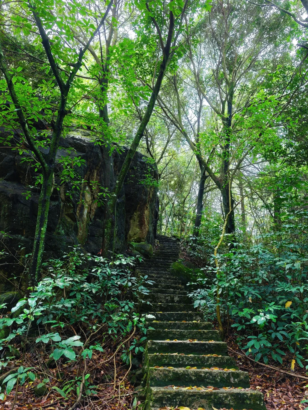 泉州“小七孔”｜闽南秘境｜逃离城市计划