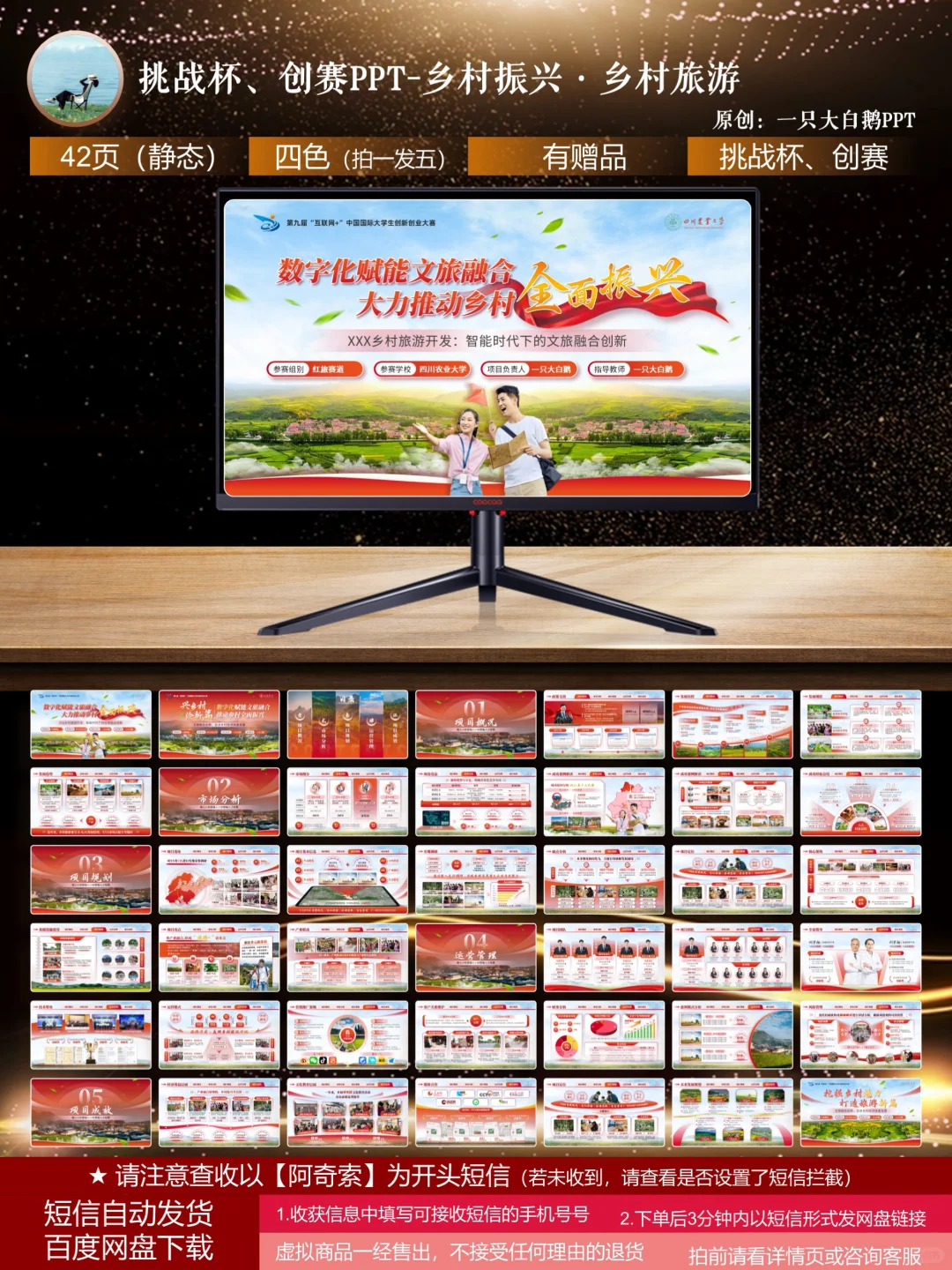 42页挑战杯必备模板-助力乡村振兴·乡村旅游