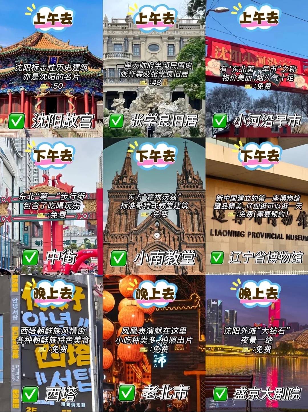 沈阳已回，我的建议是……