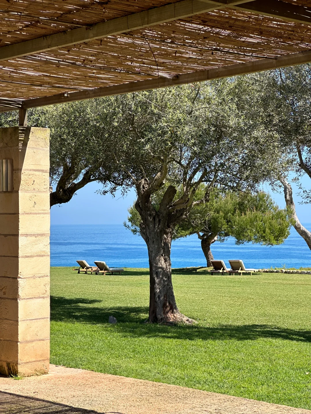 钱还会回来的，但我再也不会在30岁…