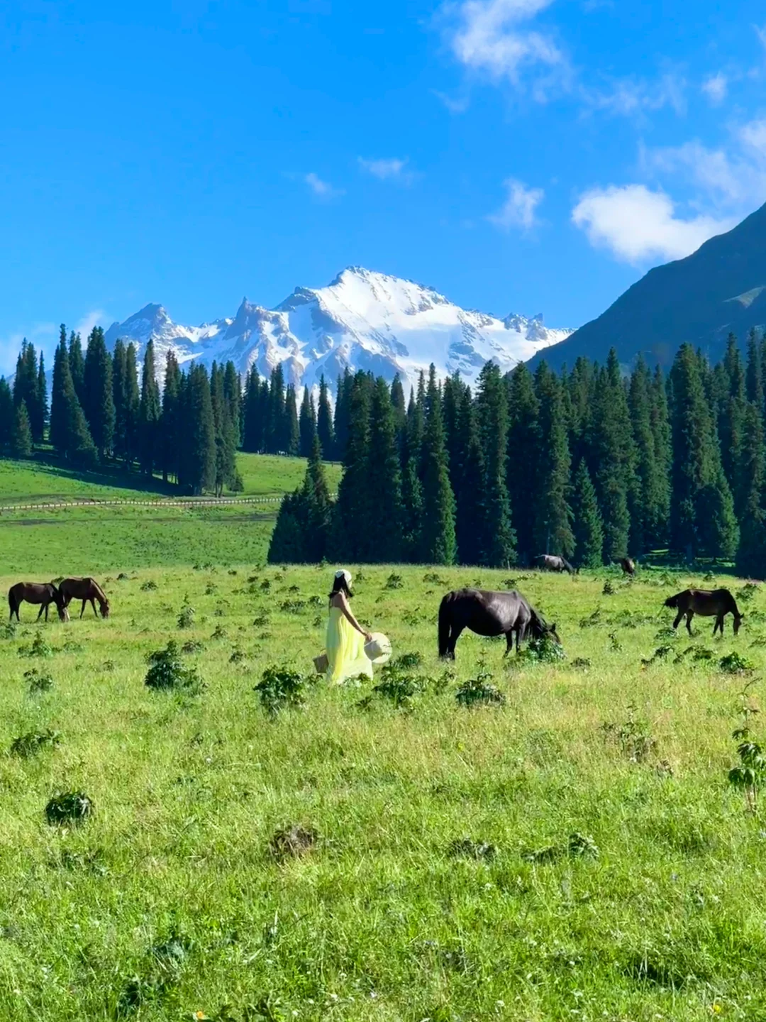 生命就应该浪费在这样的地方～🌳