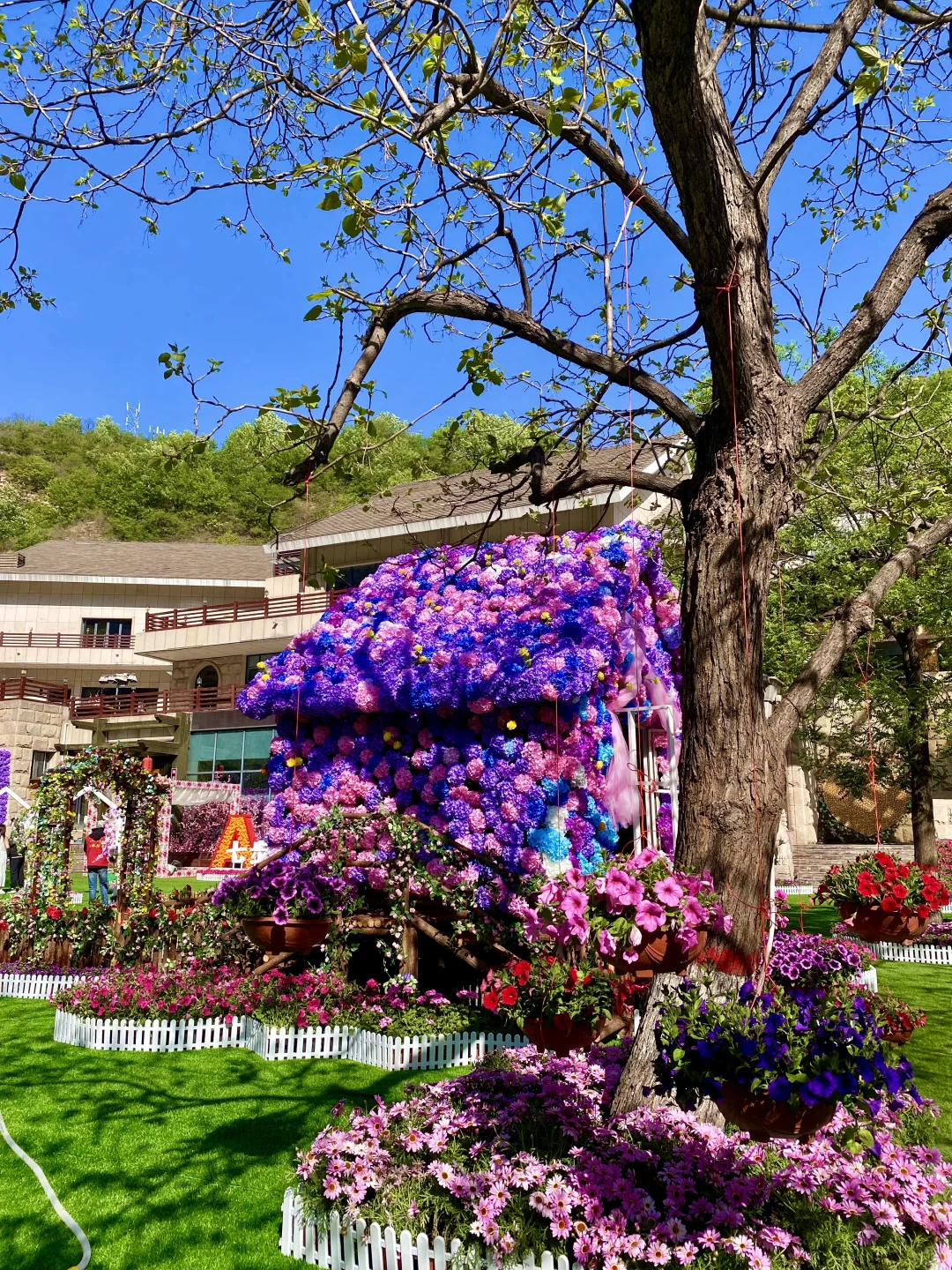 五一出逃 | 闯进邯郸七步沟的莫奈花园