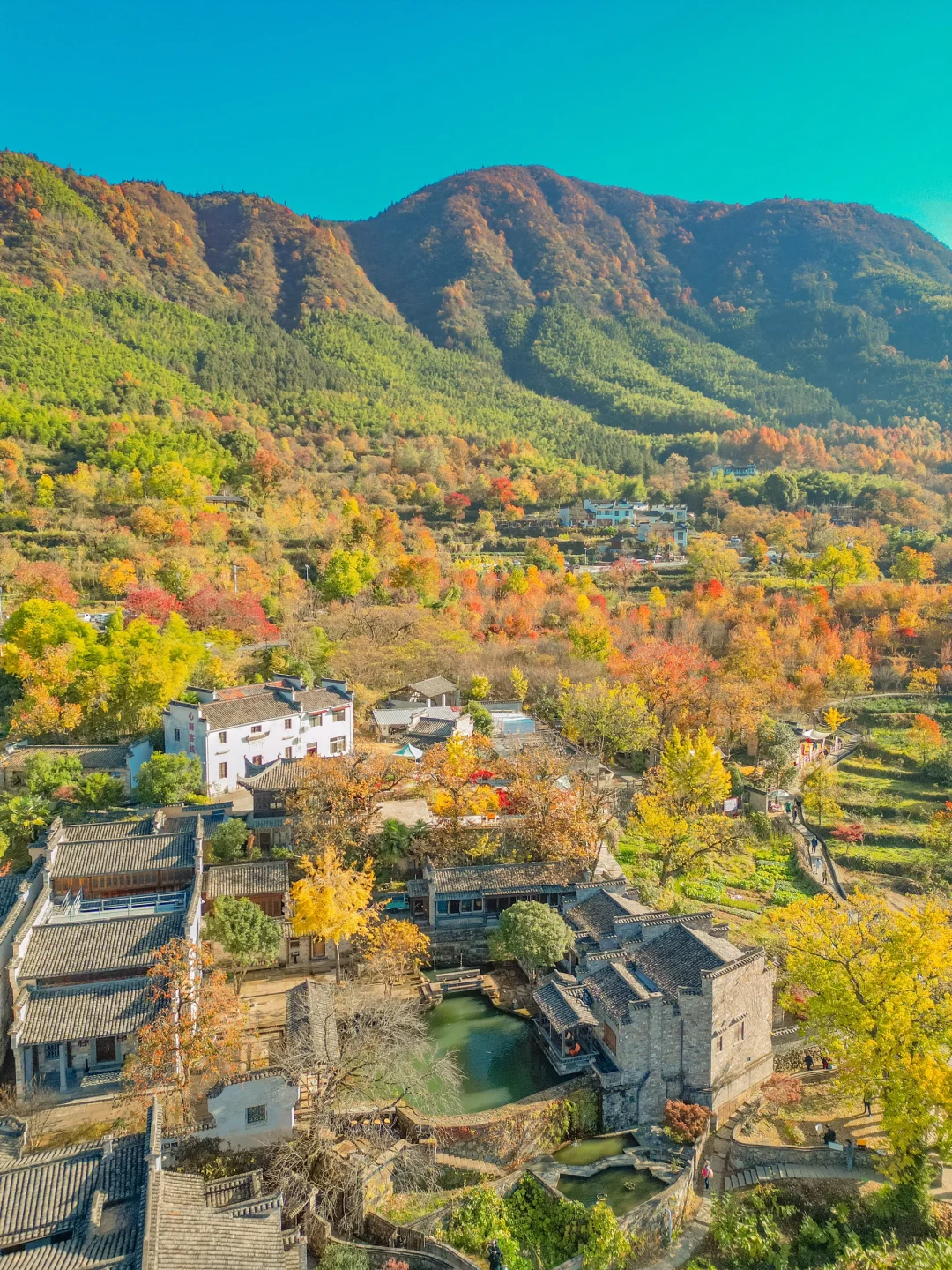 《国家地理》没骗我‼️皖南的秋天真的美绝了😭