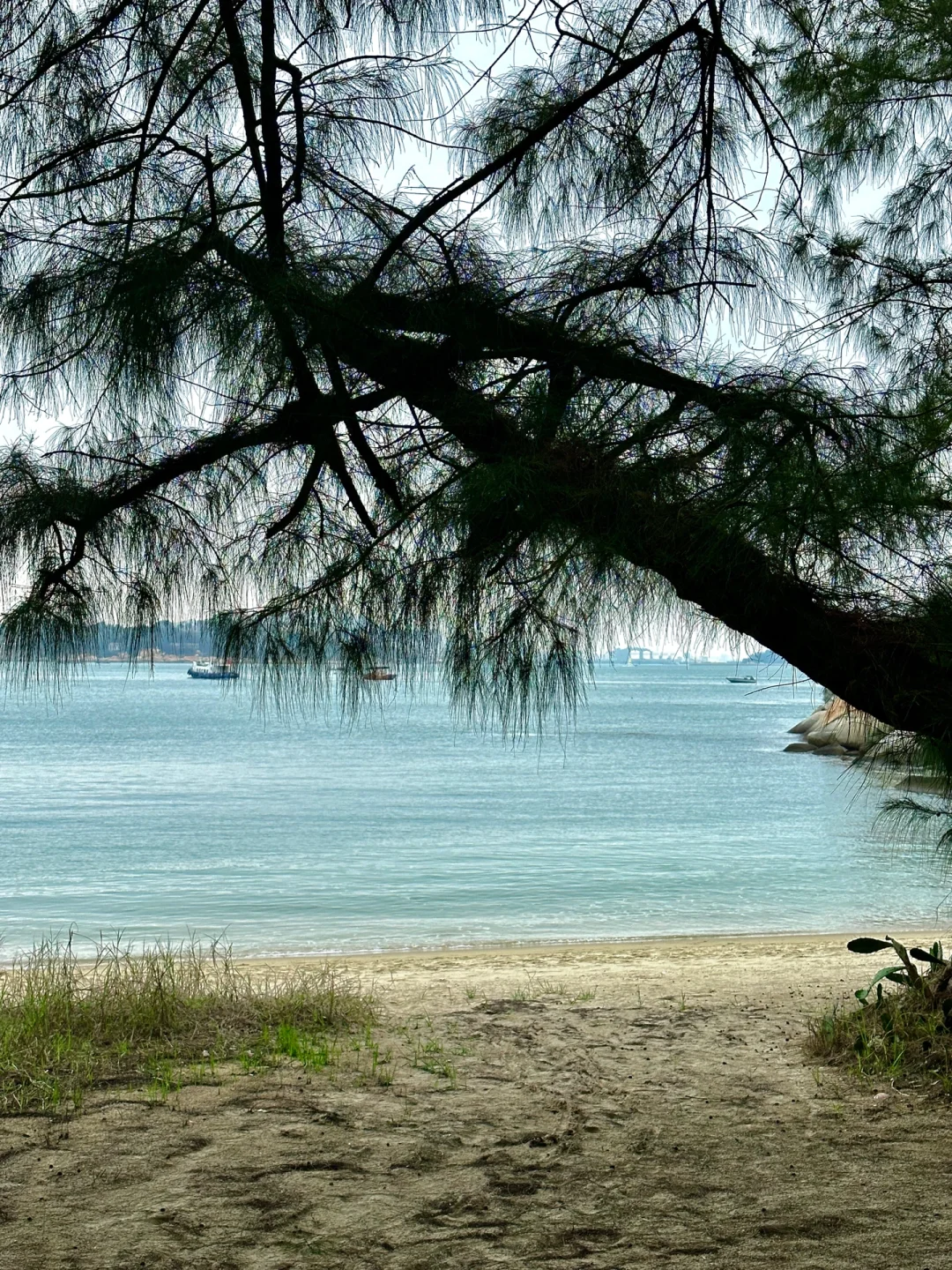 迄今为止…最喜欢的海岛小城出现了！不输国外