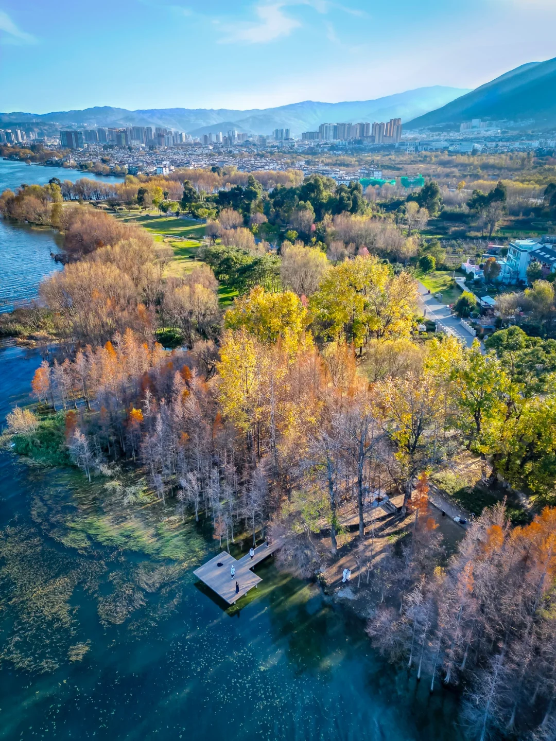 听劝！去大理旅游请直接复制这条路线