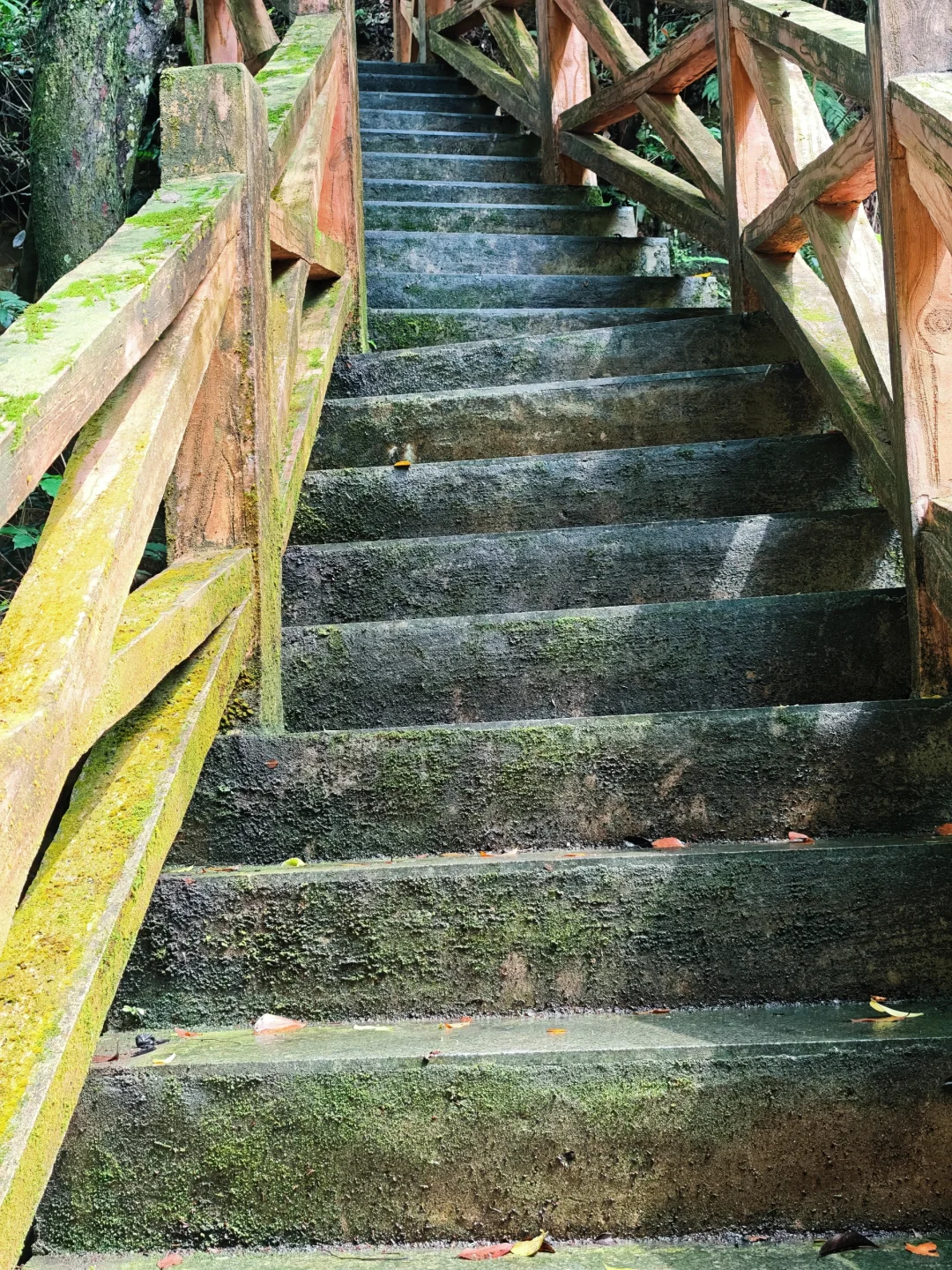 泉州“小七孔”｜闽南秘境｜逃离城市计划