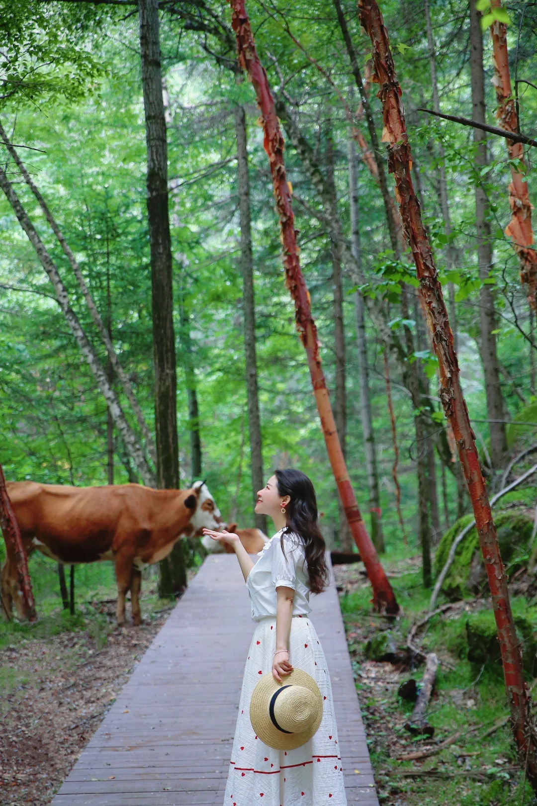 接下来的山西,一定会刷新你的想象…