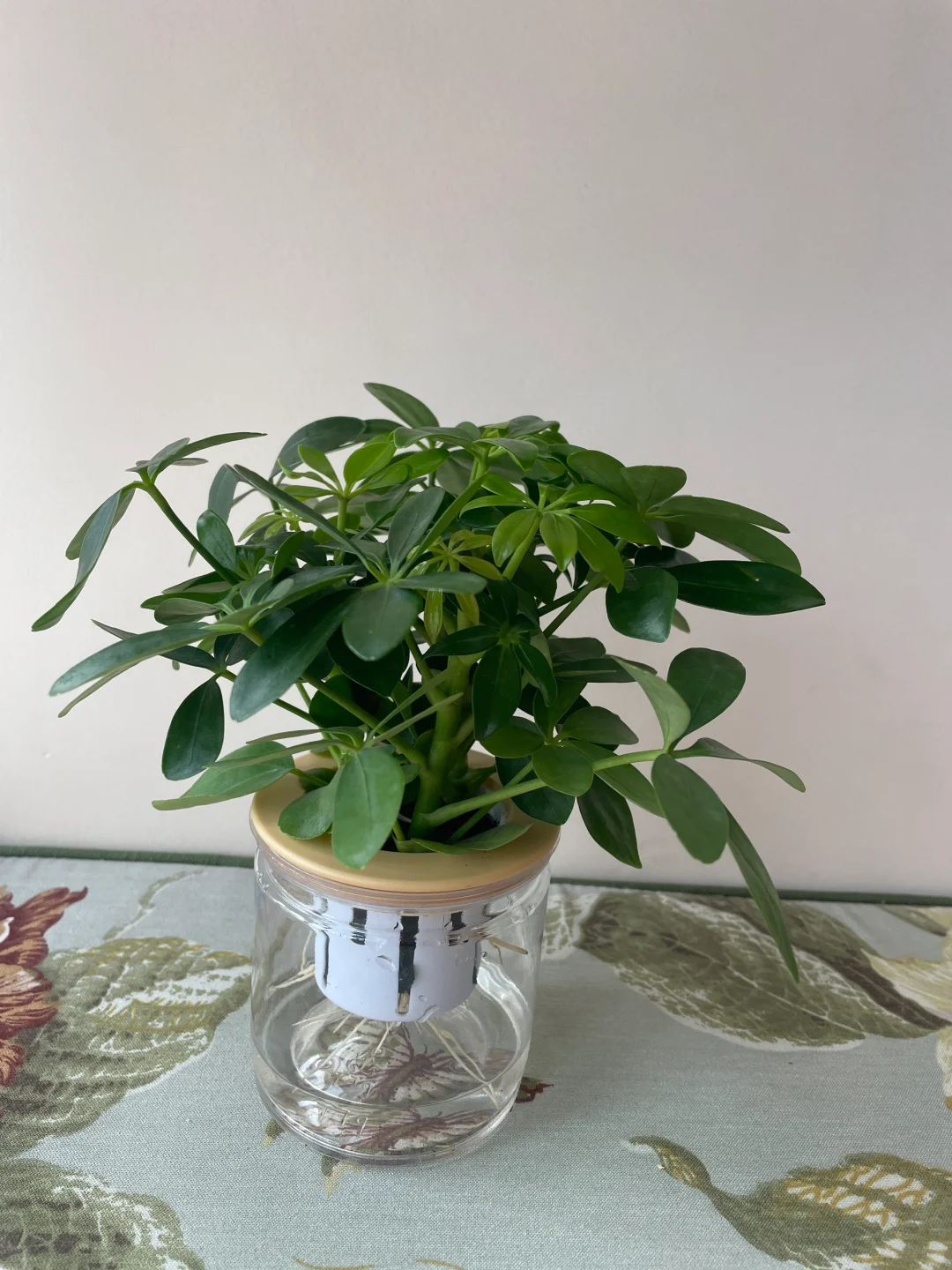 旅游攻略，翻了个寂寞