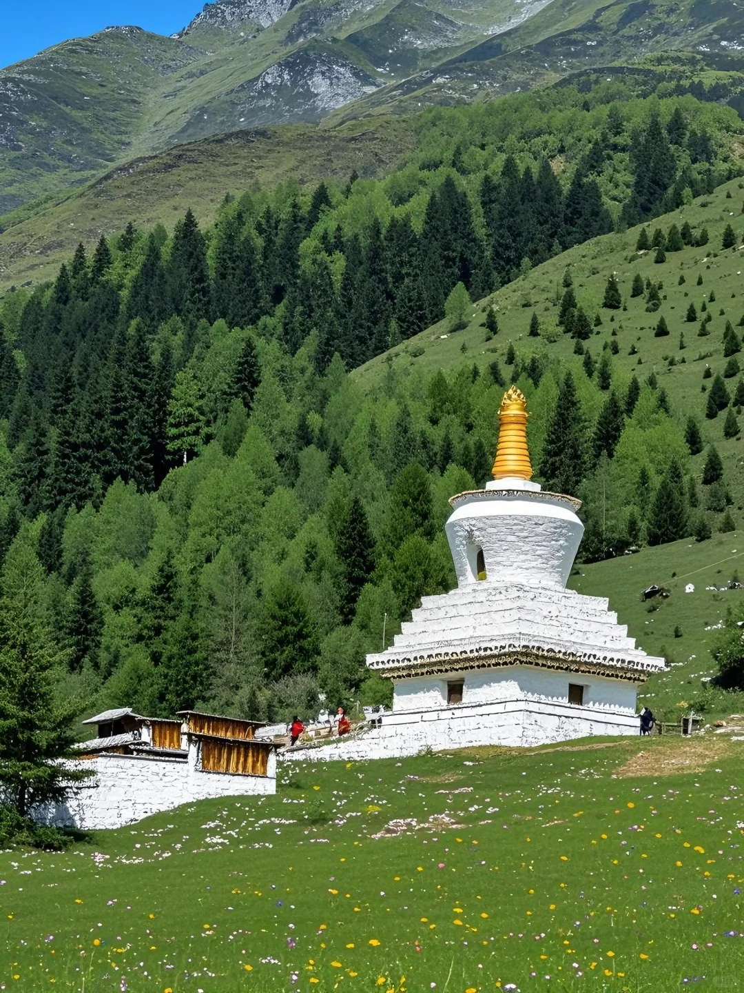 四姑娘山的浪漫永不落俗，掉进油画的夏天🌲