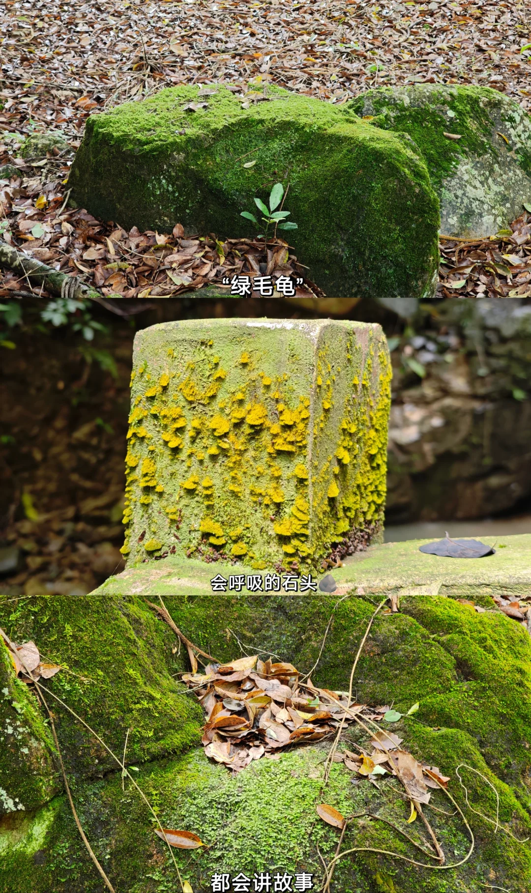 泉州“小七孔”｜闽南秘境｜逃离城市计划