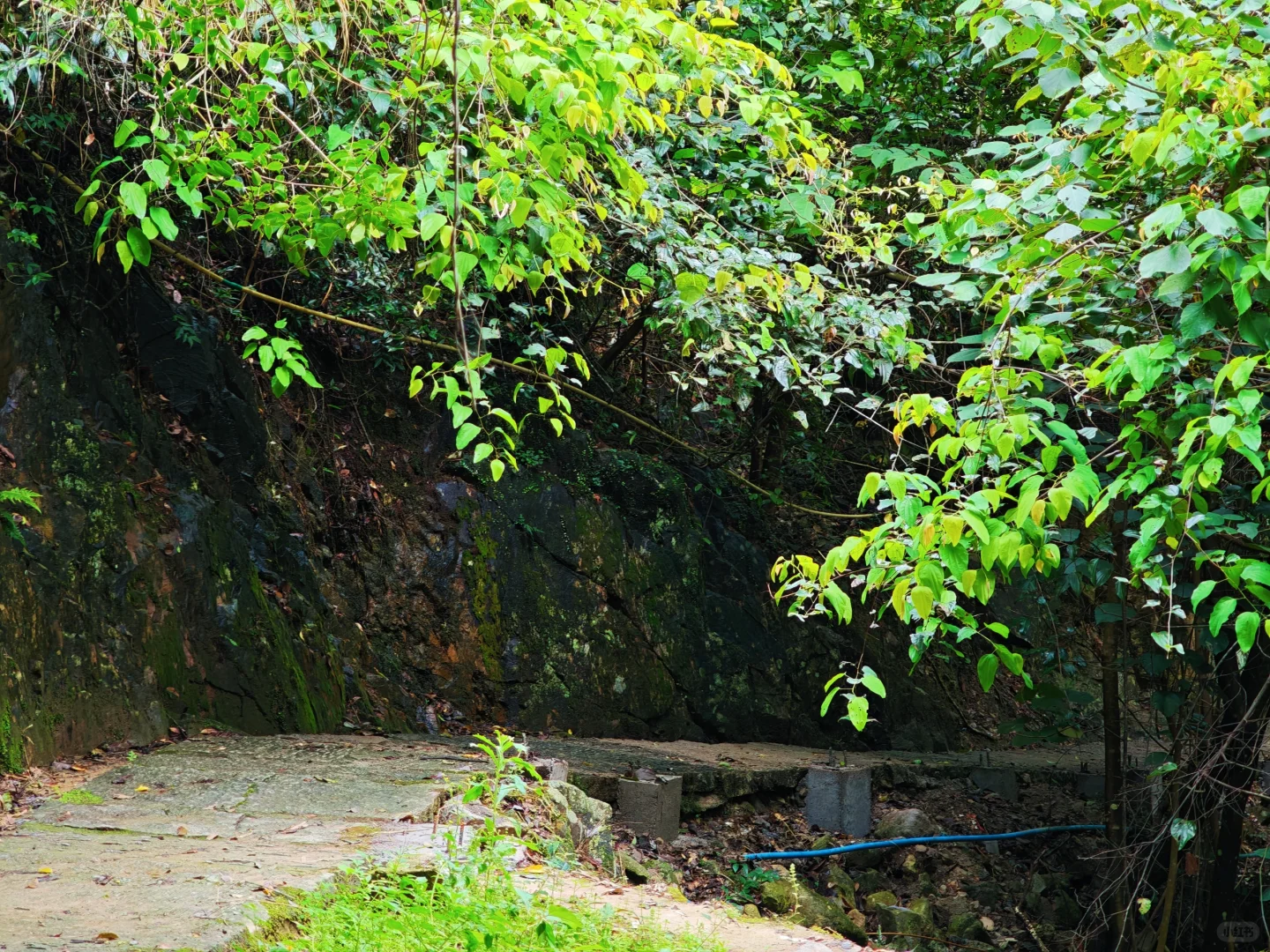 泉州“小七孔”｜闽南秘境｜逃离城市计划