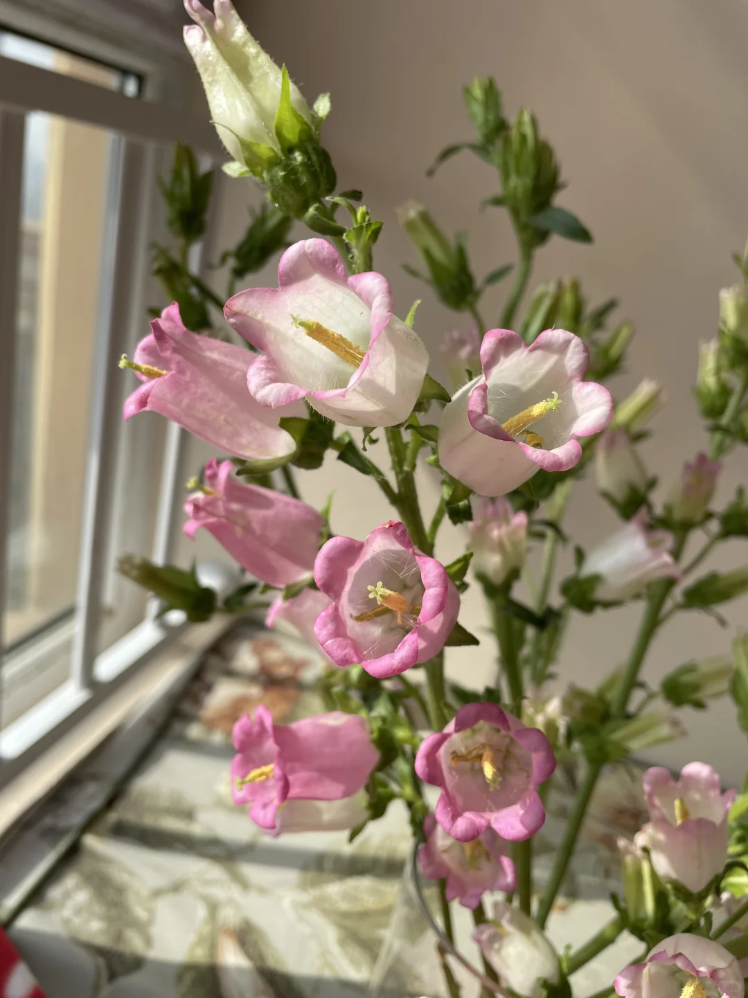 旅游攻略，翻了个寂寞