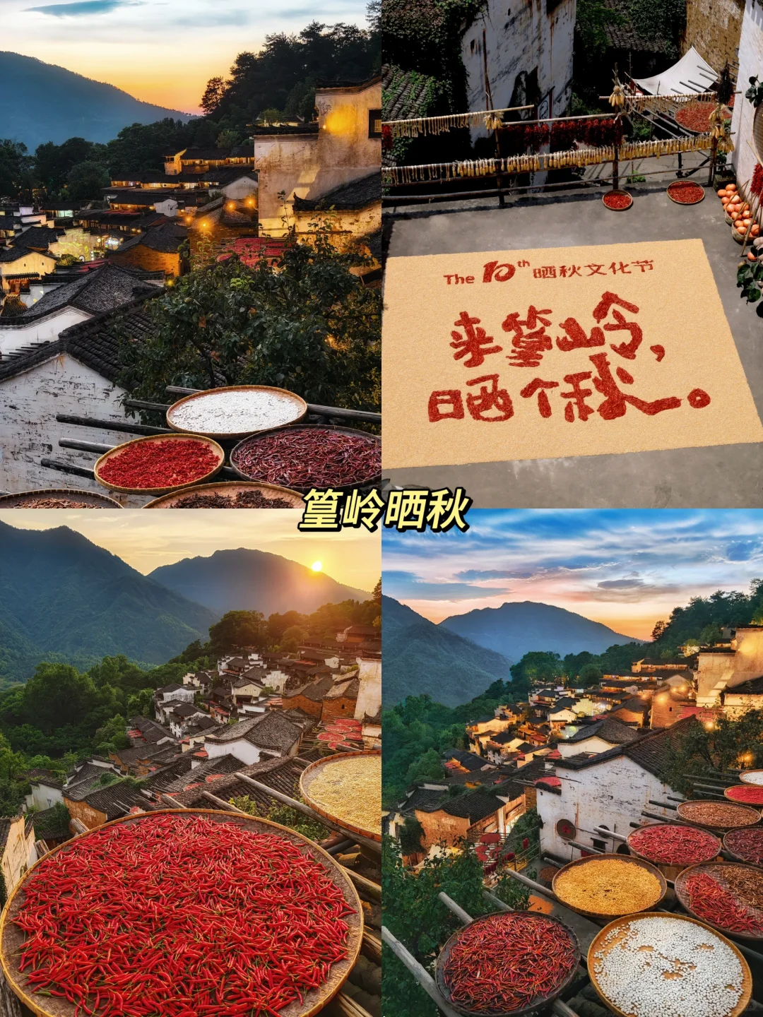 婺源超全旅行攻略‼️3天2晚团建人均仅需800+