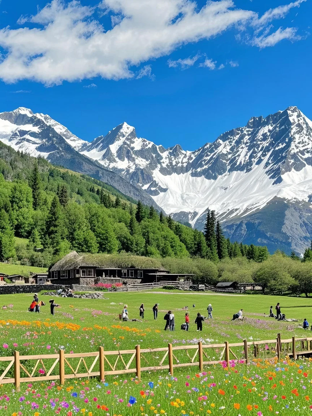 四姑娘山的浪漫永不落俗，掉进油画的夏天🌲