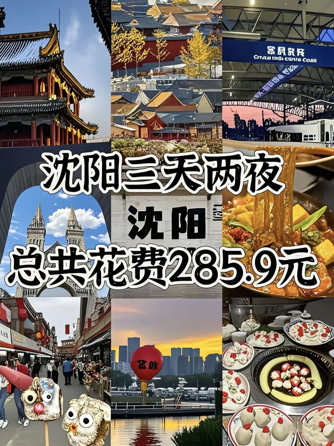 沈阳已回，我的建议是……