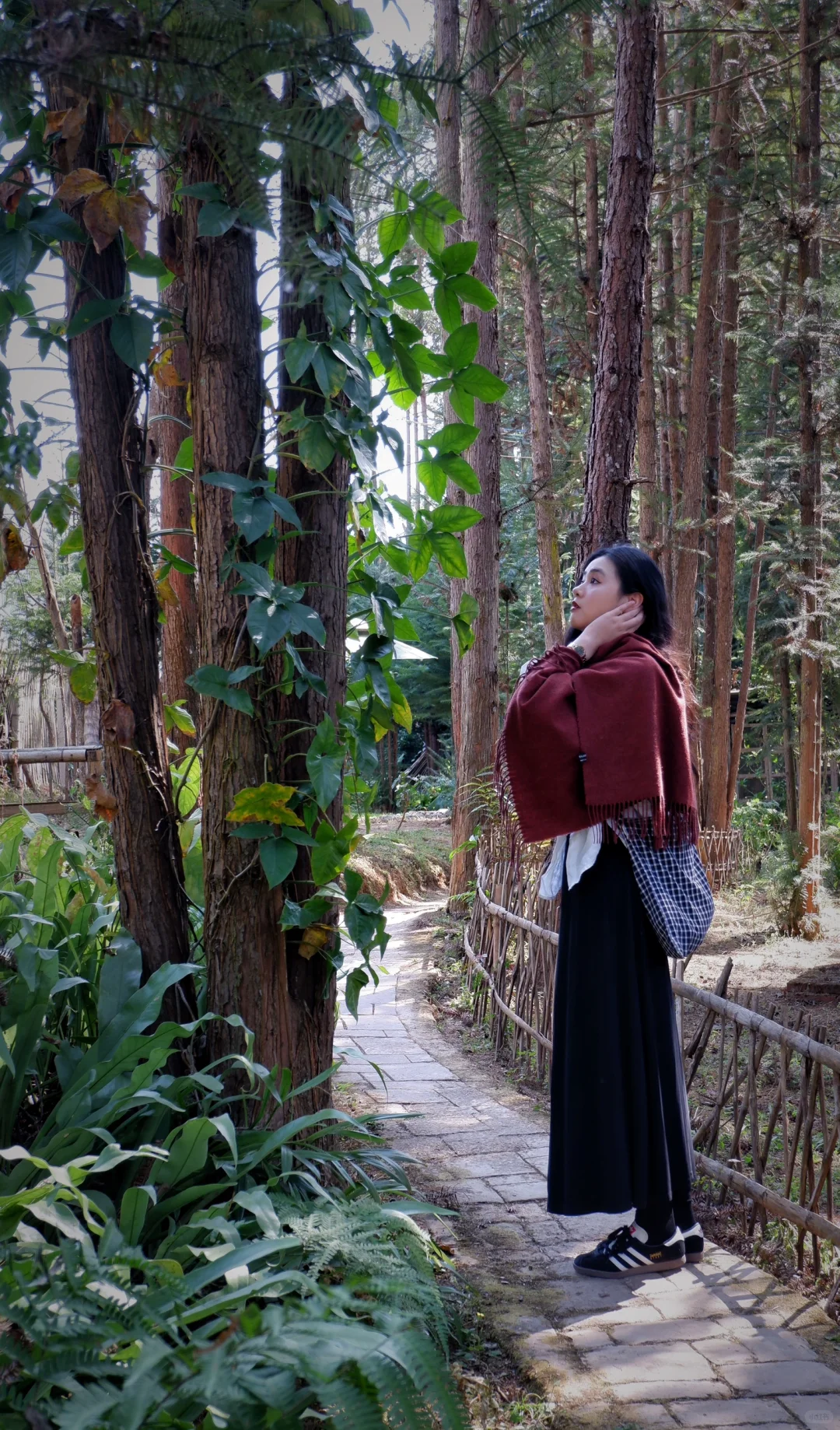 云南普洱｜这条云南小众旅行路线超安逸🧳