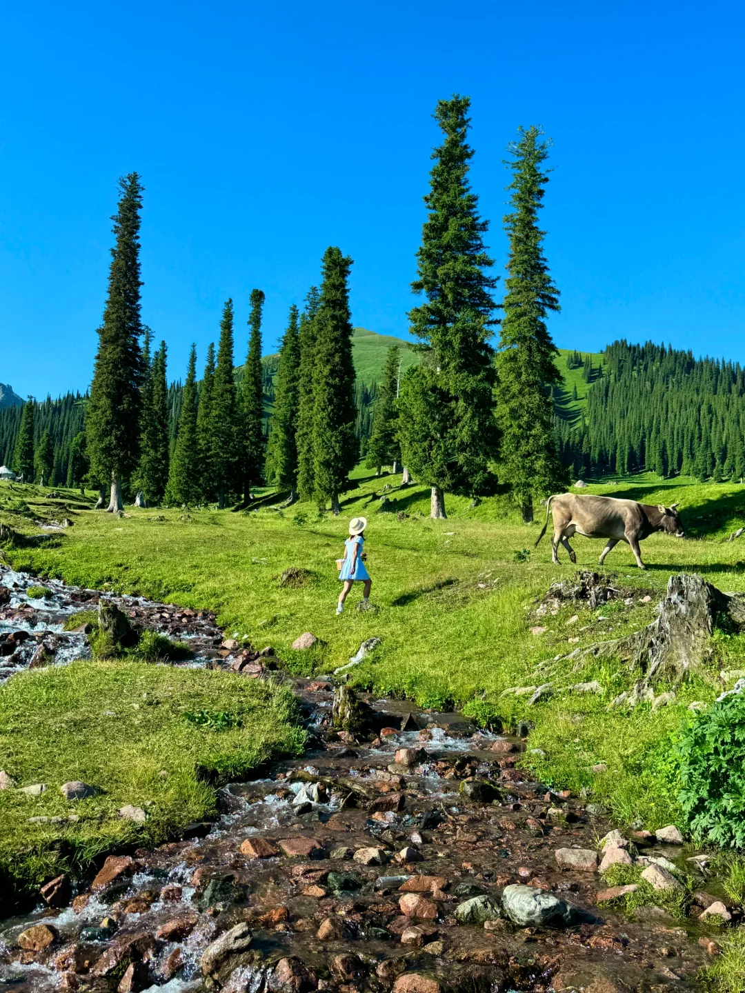 生命就应该浪费在这样的地方～🌳