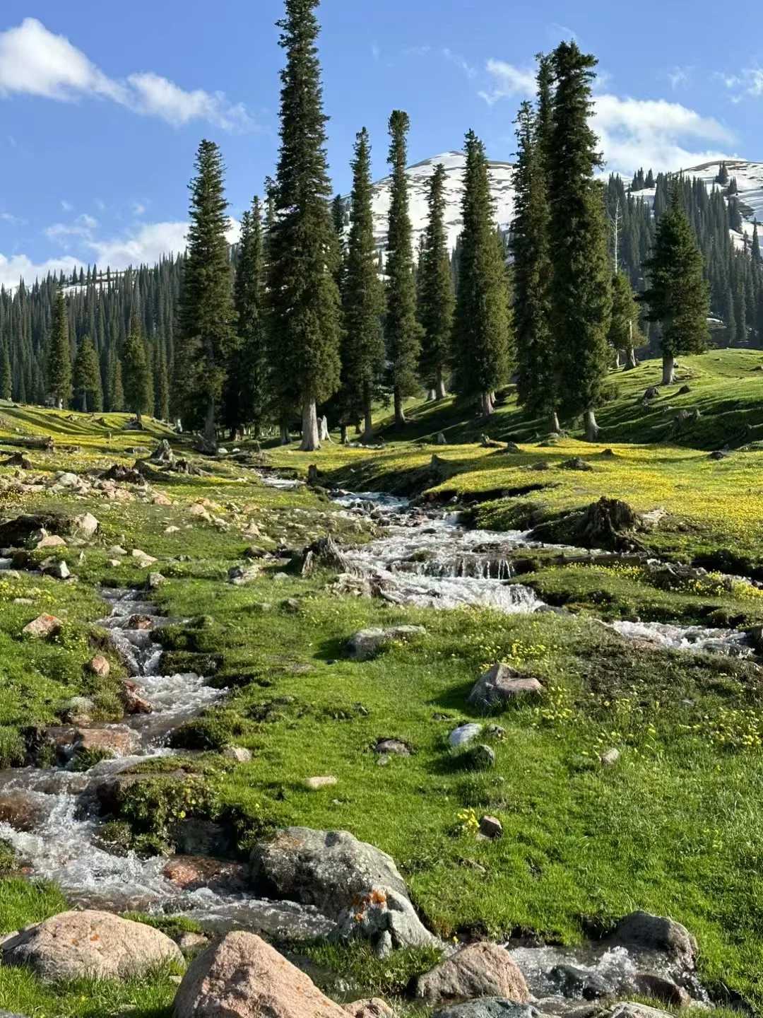 爱旅游 爱分享🌲