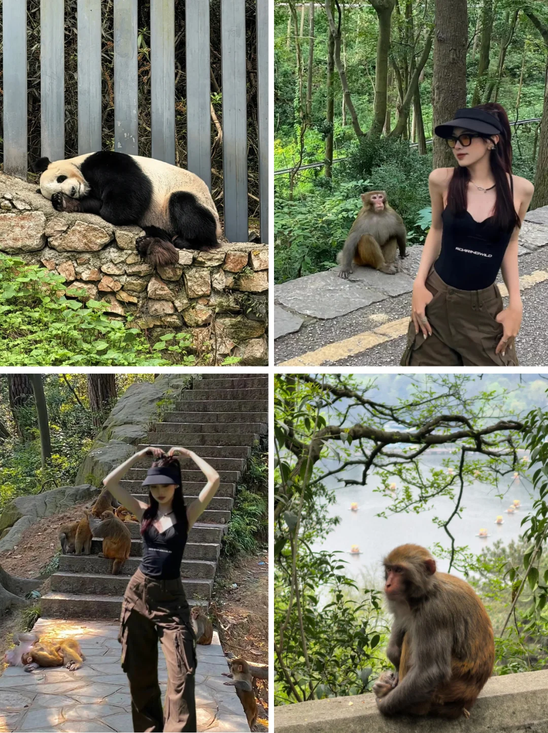 贵州懒人版旅游攻略❗❗❗四天三晚不绕路