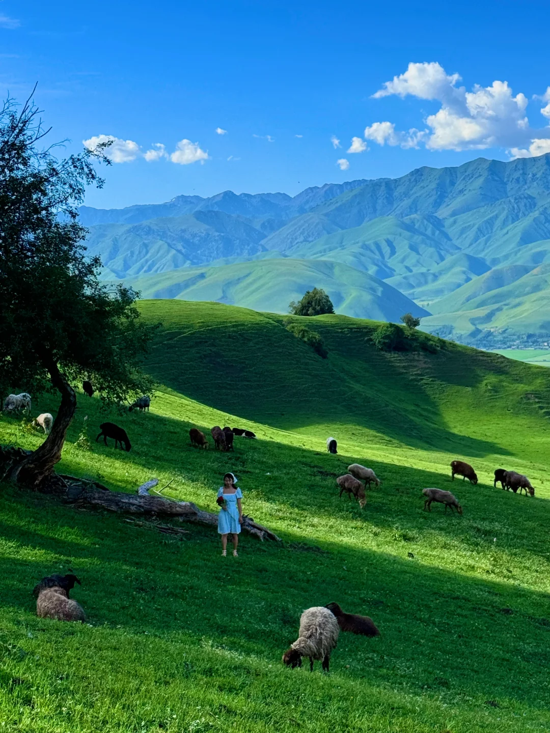 生命就应该浪费在这样的地方～🌳