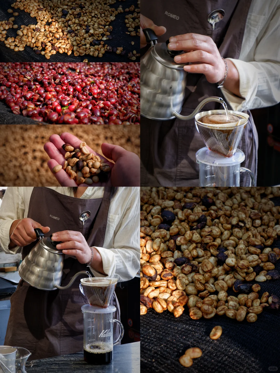 云南普洱｜这条云南小众旅行路线超安逸🧳