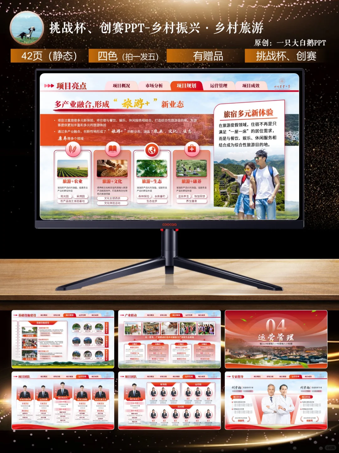 42页挑战杯必备模板-助力乡村振兴·乡村旅游