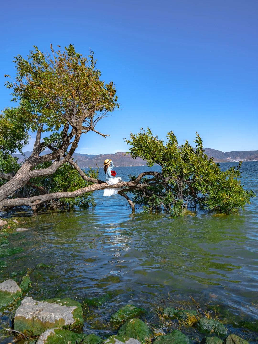 听劝！去大理旅游请直接复制这条路线