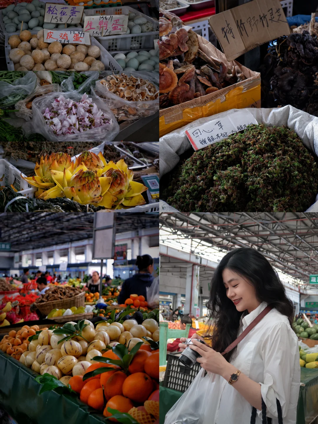 云南普洱｜这条云南小众旅行路线超安逸🧳