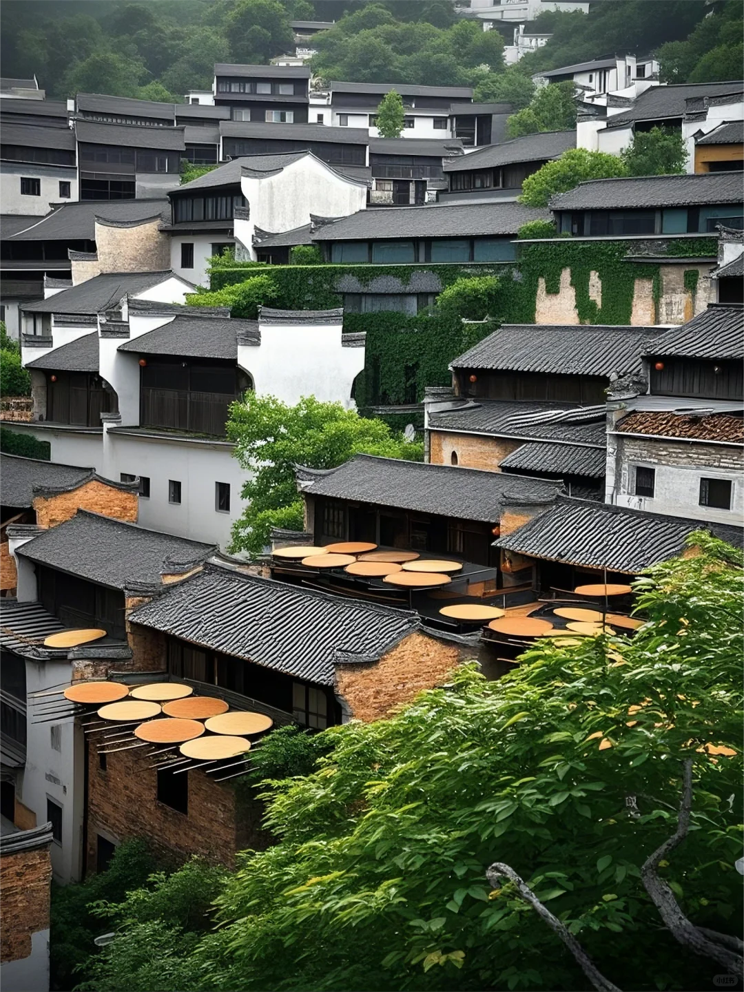 美呆了，我宣布！这是全球最美的旅游小城