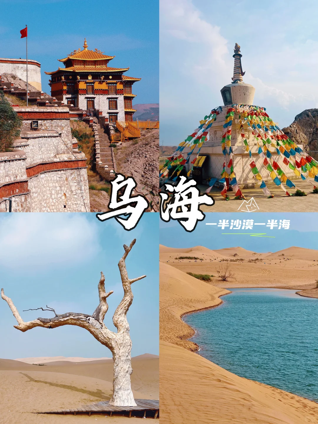 乌海｜反向旅游天花板！沙漠与海的浪漫邂逅