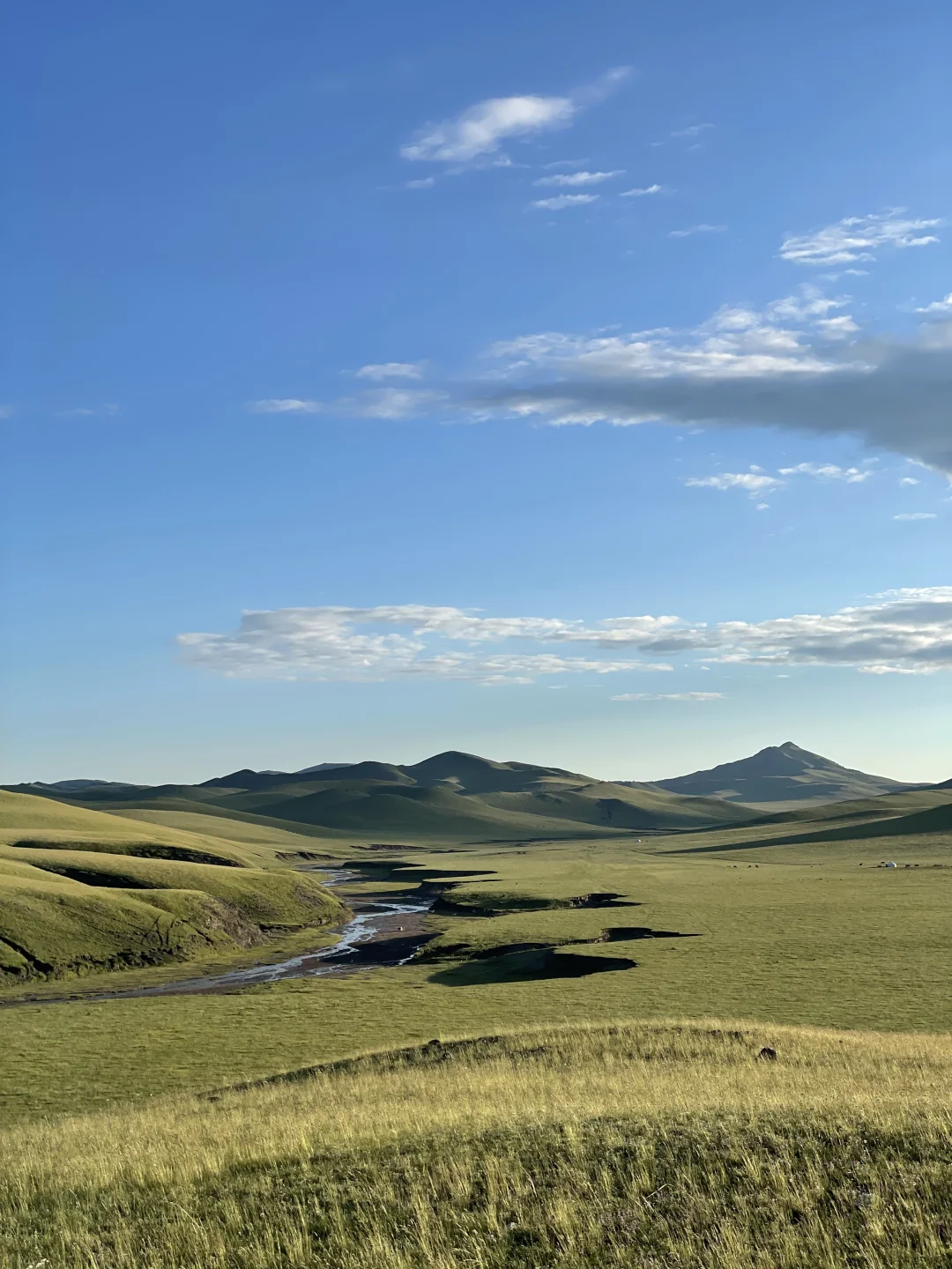 当我逃离城市来到了草原！