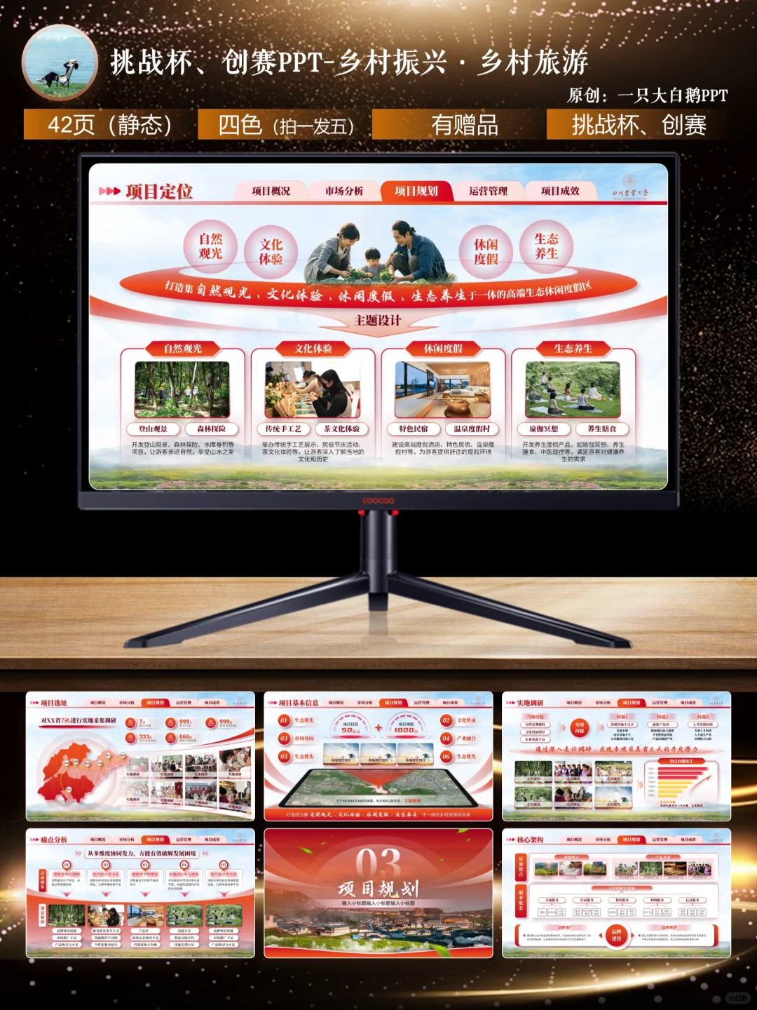 42页挑战杯必备模板-助力乡村振兴·乡村旅游