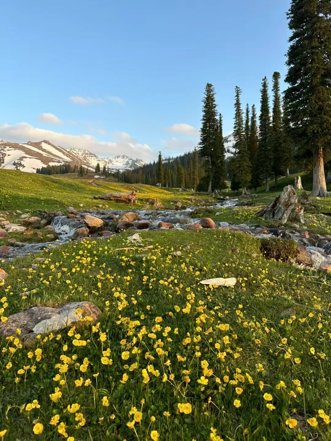 爱旅游 爱分享🌲
