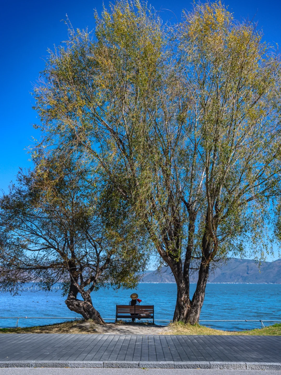 听劝！去大理旅游请直接复制这条路线