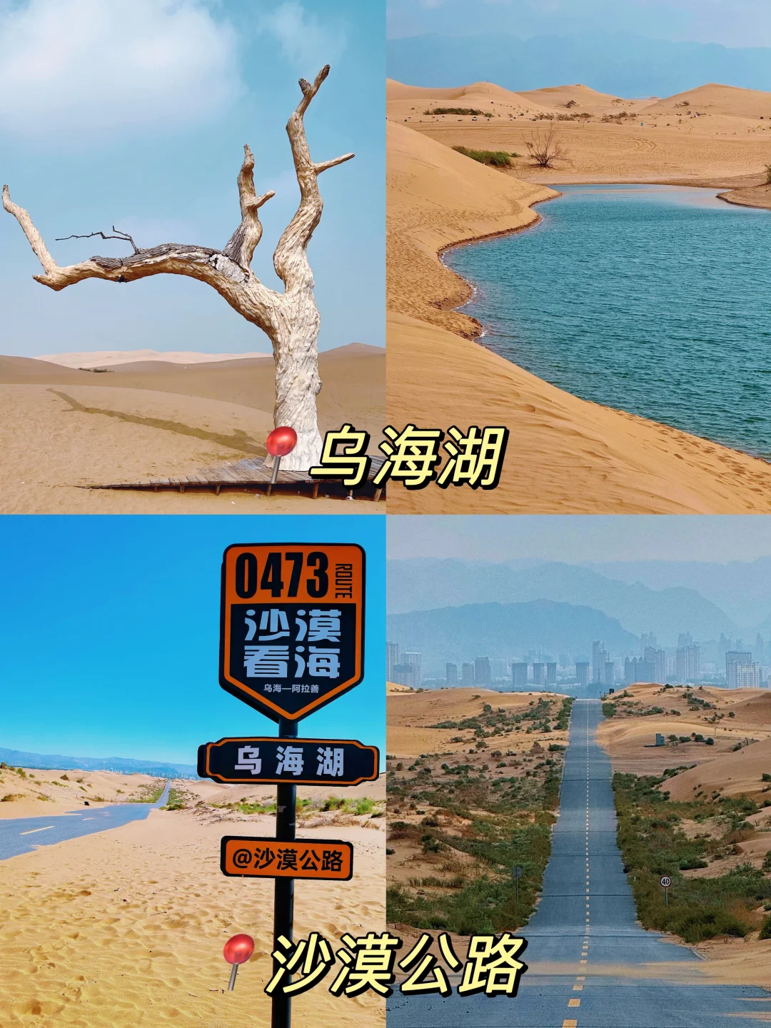 乌海｜反向旅游天花板！沙漠与海的浪漫邂逅