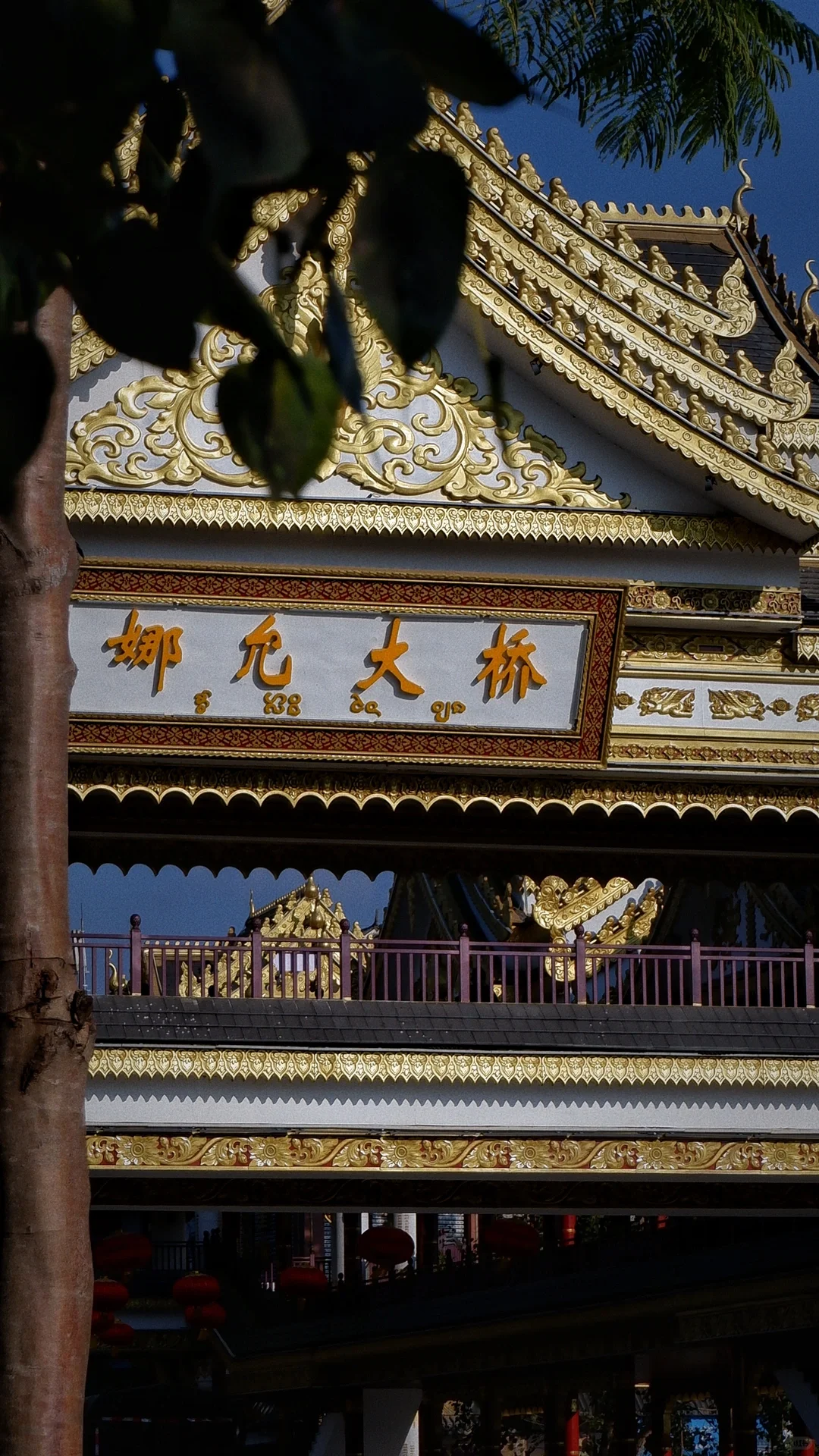 云南普洱｜这条云南小众旅行路线超安逸🧳