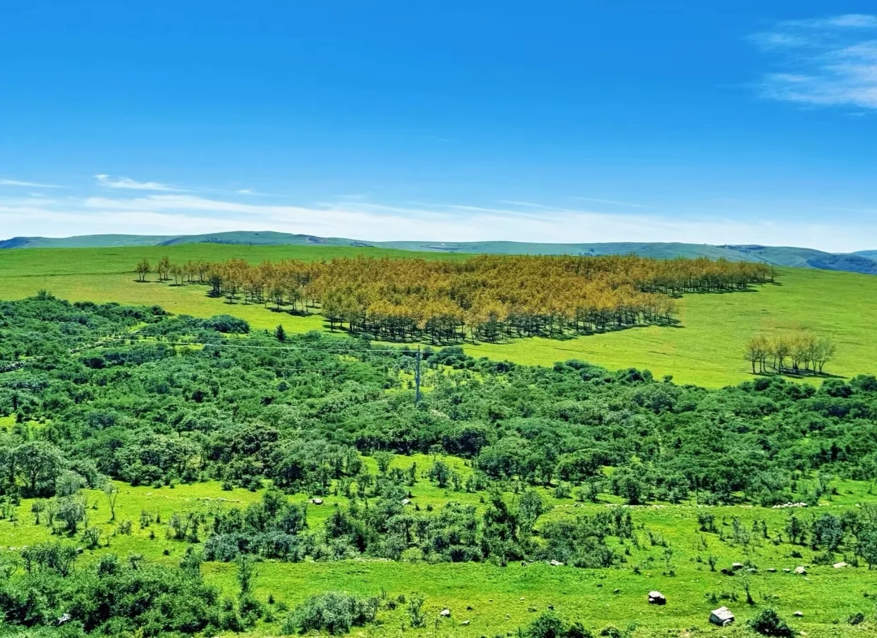 五一最全乌兰察布攻略❗❗❗