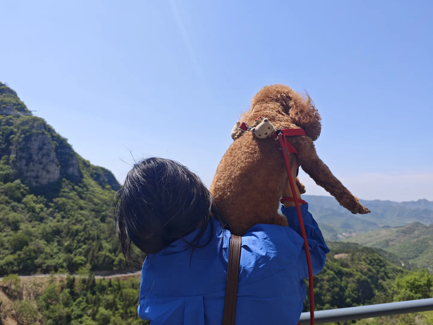 宠物友好——来淄博一定要来潭溪山