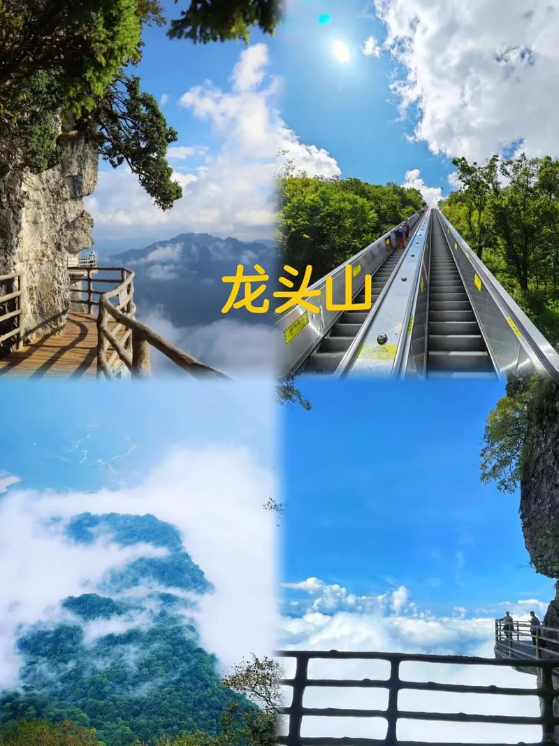 半年一次的汉中周边旅行✈️