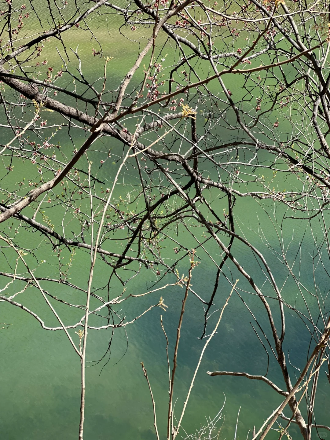 🌸属于邢台人的小九寨沟｜云梦山⛰
