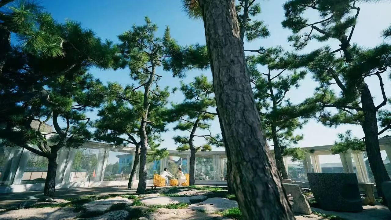 这里不是荷兰！是临沂！！！！