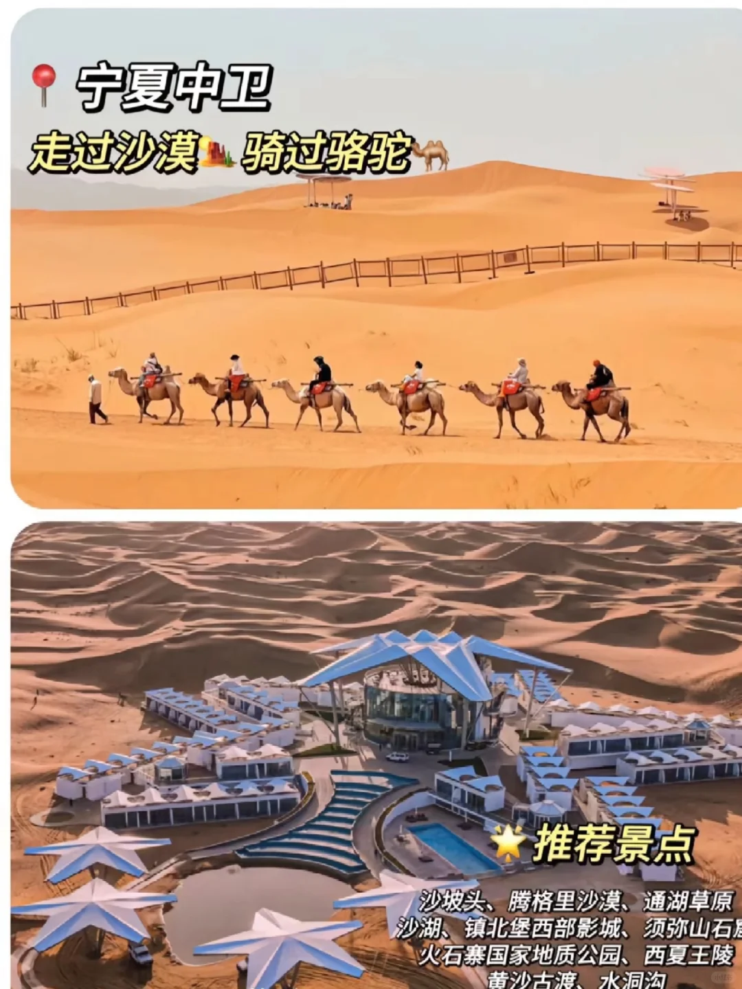 五一别瞎选🙌🏻总有一个能戳中你的心巴