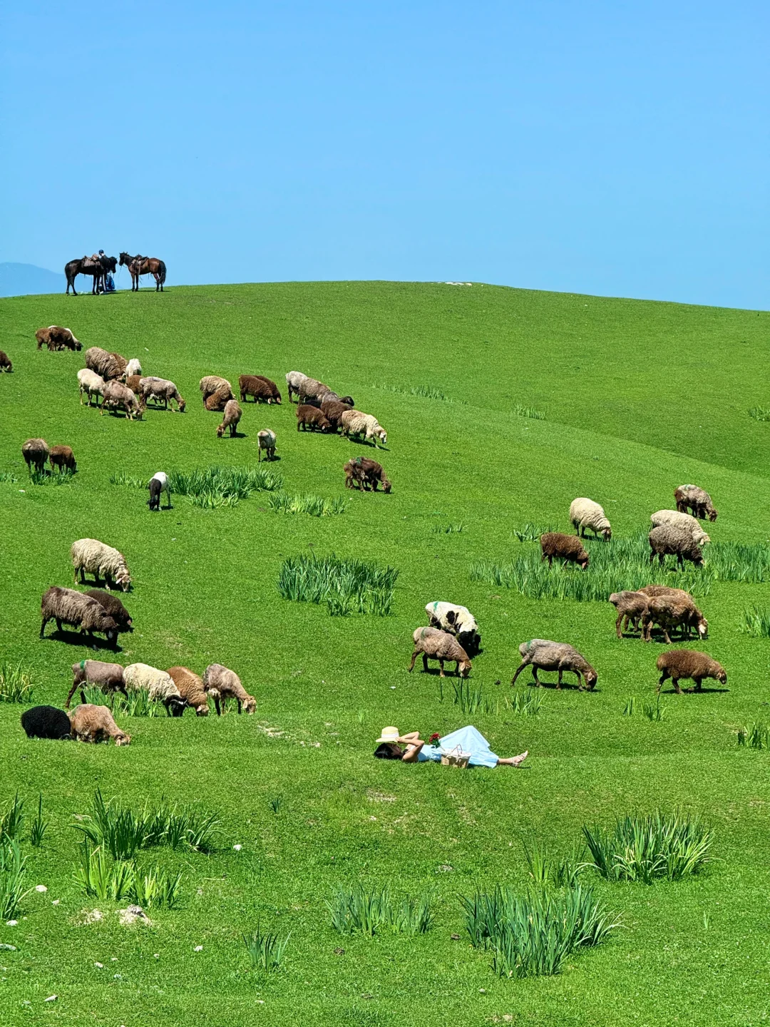 在新疆拍到了我的人生live图～🌳🌳