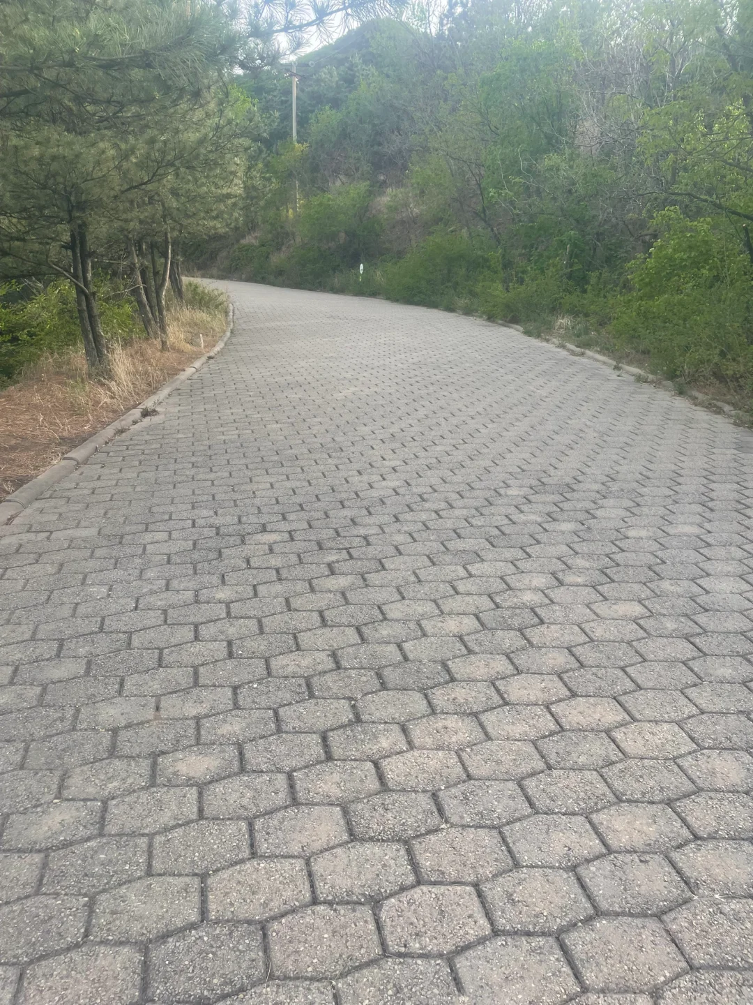 承德景区 避雷！！！