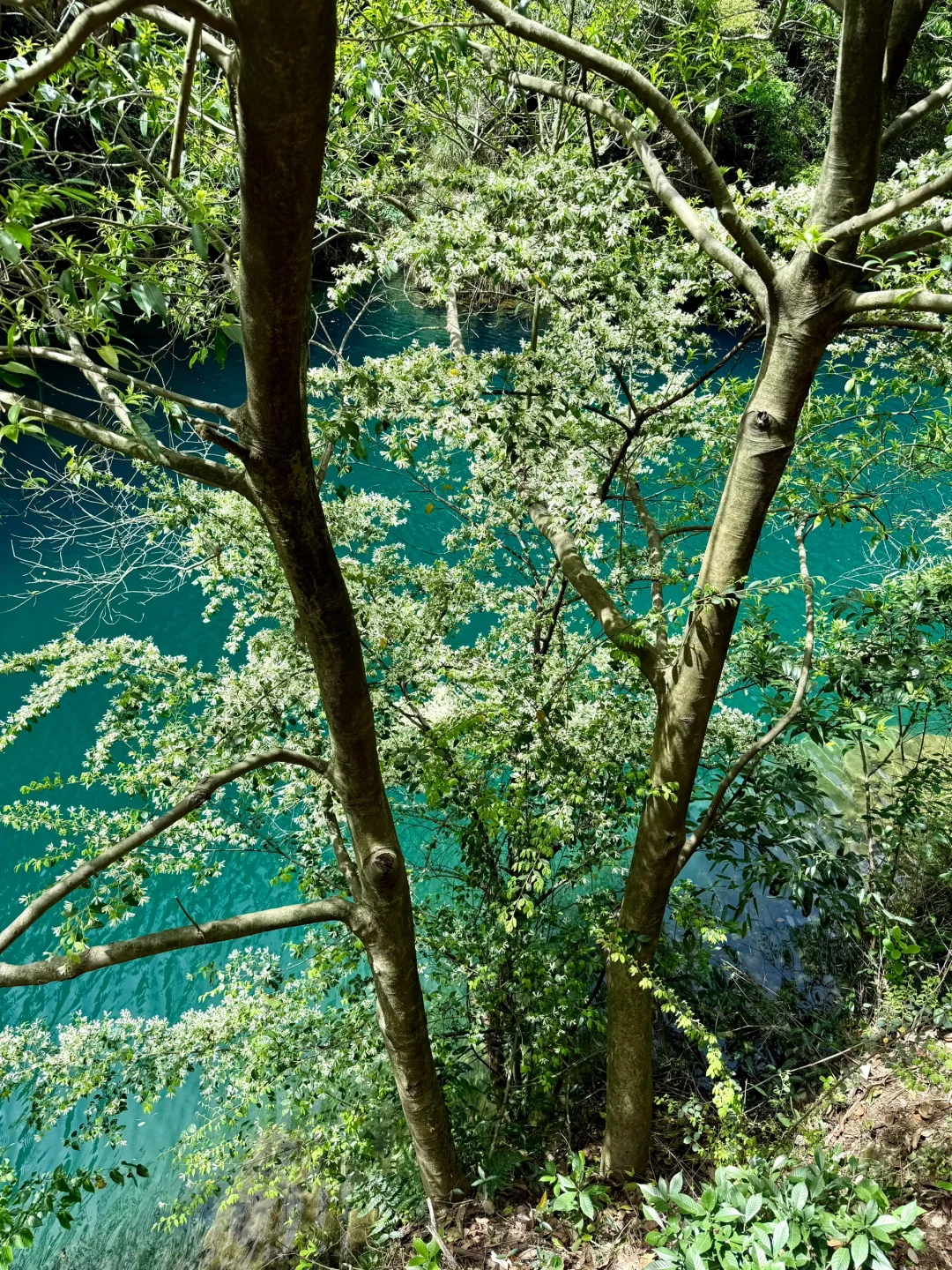 Live实况‼️小红书跟风最成功的一次！！